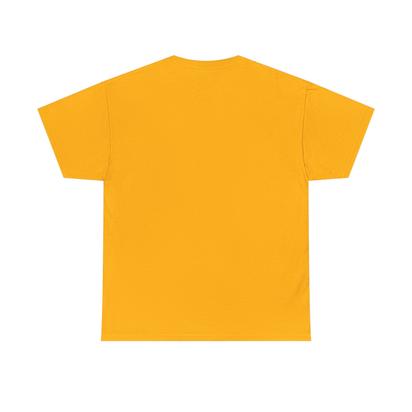 Vintage Freedom Unlocked Tee