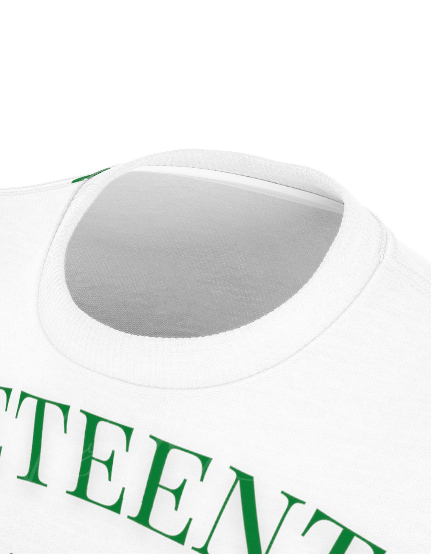 Juneteenth Roar 1865 Unisex Cut & Sew Tee